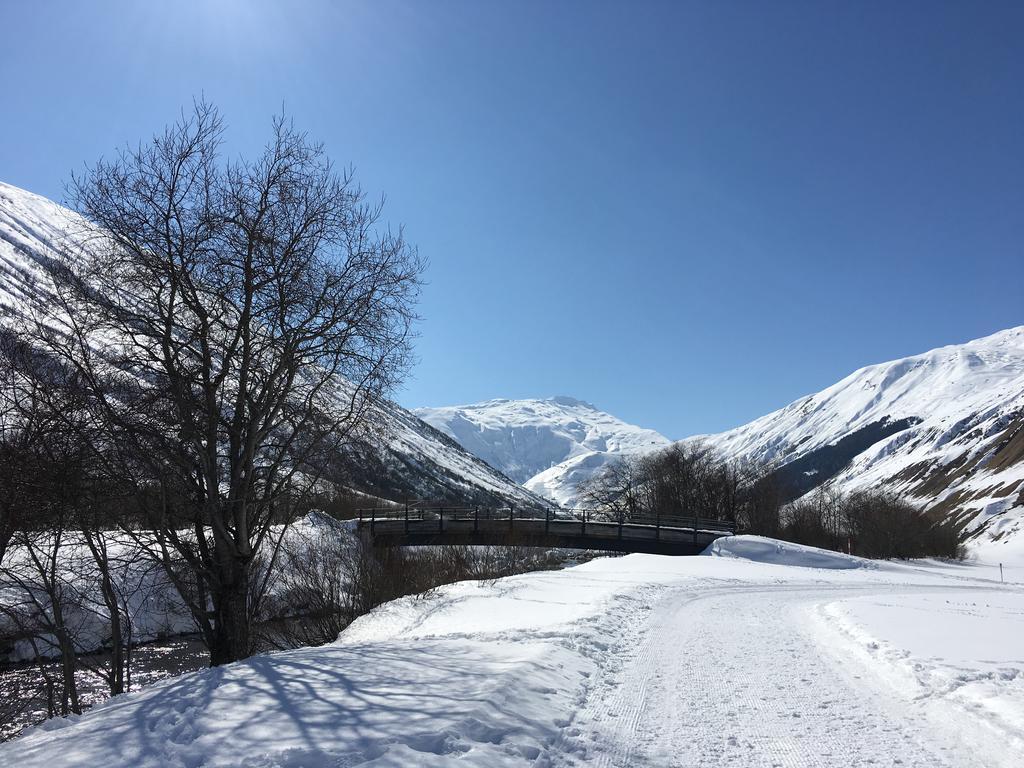 Bnb Bellavista Apartment Andermatt Luaran gambar